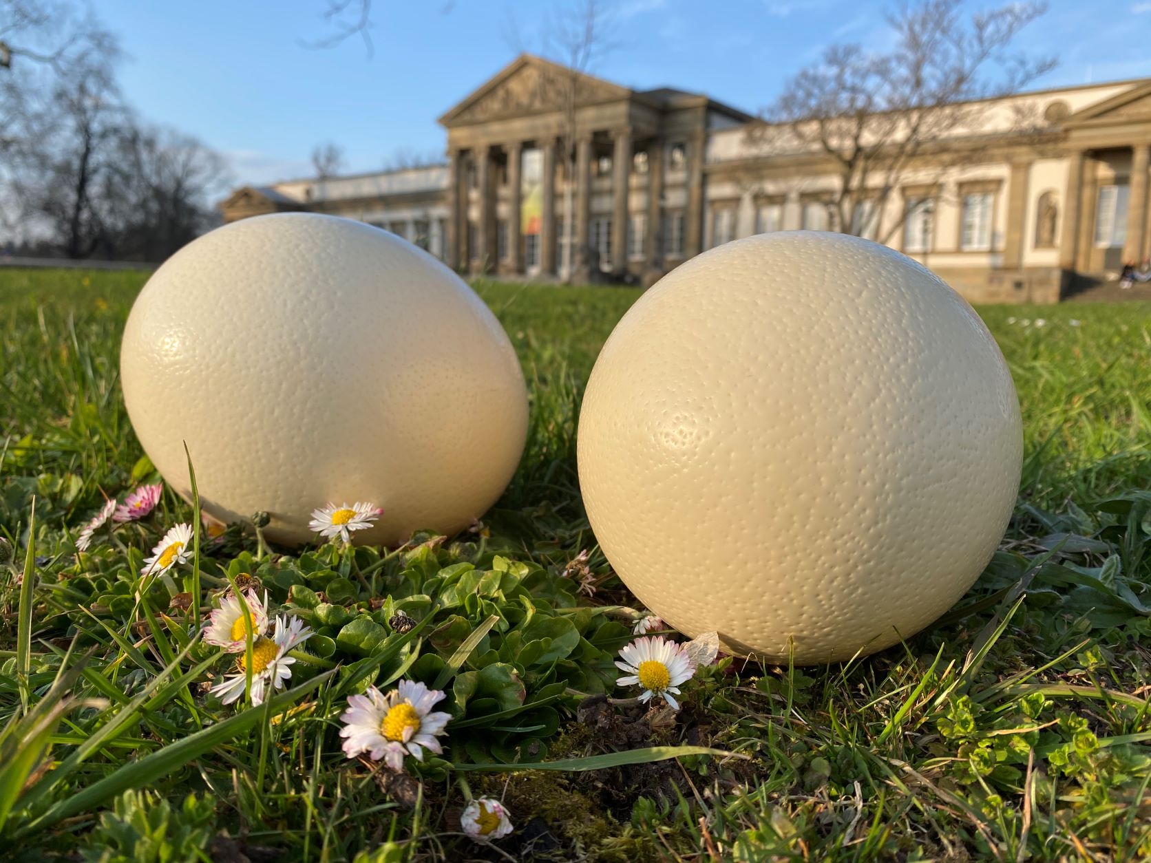 © SMNS, S. Lanckowsky Ostereier vor dem Schloss Rosenstein.