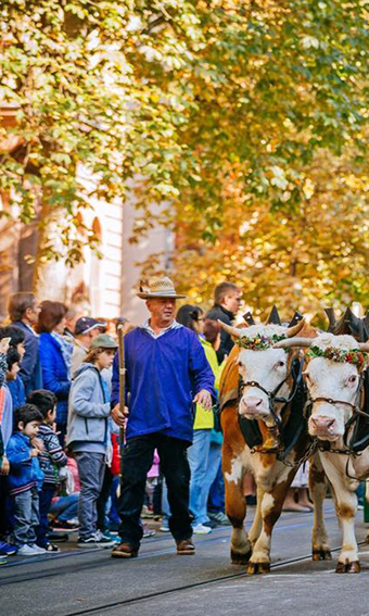 in.Stuttgart Thomas Niedermüller Tiere und Menschen in historischen Gewändern