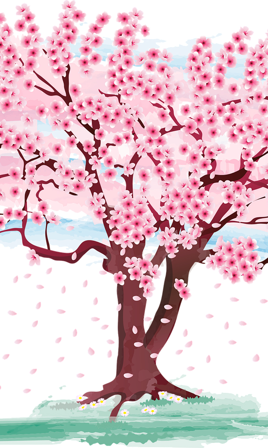© Pixabay Zeichnung eines Kirschbaums, der rosa blüht.
