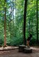 Junge an einer Rätselstation im Wald.