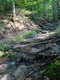 Ein kleiner Bach im Wald.