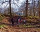 Eine Familie wandert durch den herbstlichen Wald.