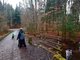 Der breite Wanderweg im Siebenmühlental führt durch den Wald, eine Familie mit Kinderwagen und Kind läuft darauf.