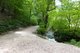 Breiter Wanderweg im Wald. Er läuft an einem Bach entlang.