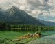 Fotografiert wurde ein glasklarer Bergsee, umrandet von grünen Tannen. Im Hintergrund strecken sich verschneite Berggipfel in die Höhe.