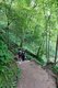 Breiter Wanderweg im Wald. Der Weg geht über Treppen nach unten.