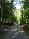 Zwei Personen laufen in einem Wald einen Wanderweg entlang.