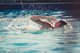 Junge schwimmt die Schwimmart Kraul in einem Schwimmbecken. Im Bild atmet er gerade zur Seite.