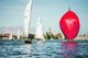 Bei der Internationalen Bodenseewoche sieht man mehrere Boote auf dem Bodensee, die meisten sind weiß, aber eins hat ein ovales, rotes Seegel.